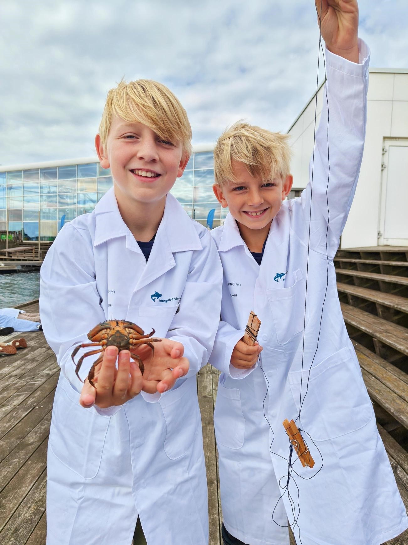 Mini Marine Researcher for a Day at the Kattegatcentre
