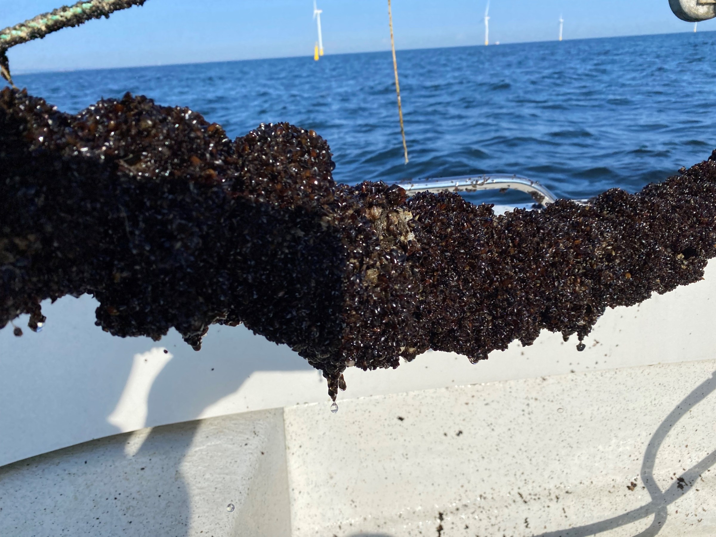 Successful inspection trip to Danish Kriegers Flak