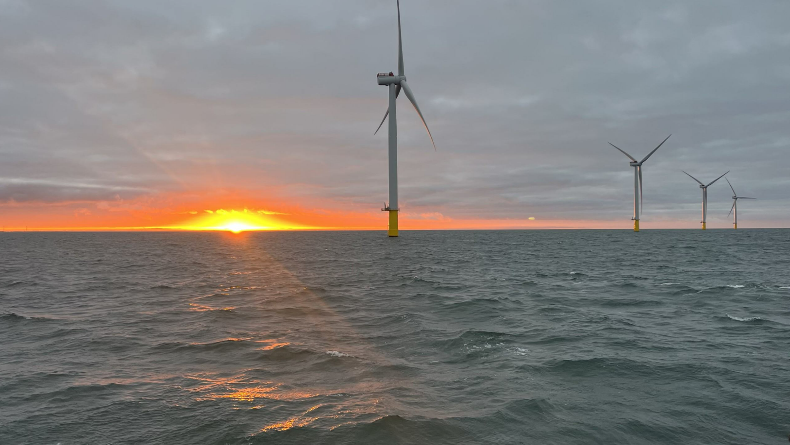 Test af tangvækst i offshore vindmøllepark i Nordsøen