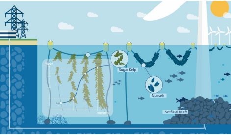 DTU Students Publish Article about the WIN@sea Project