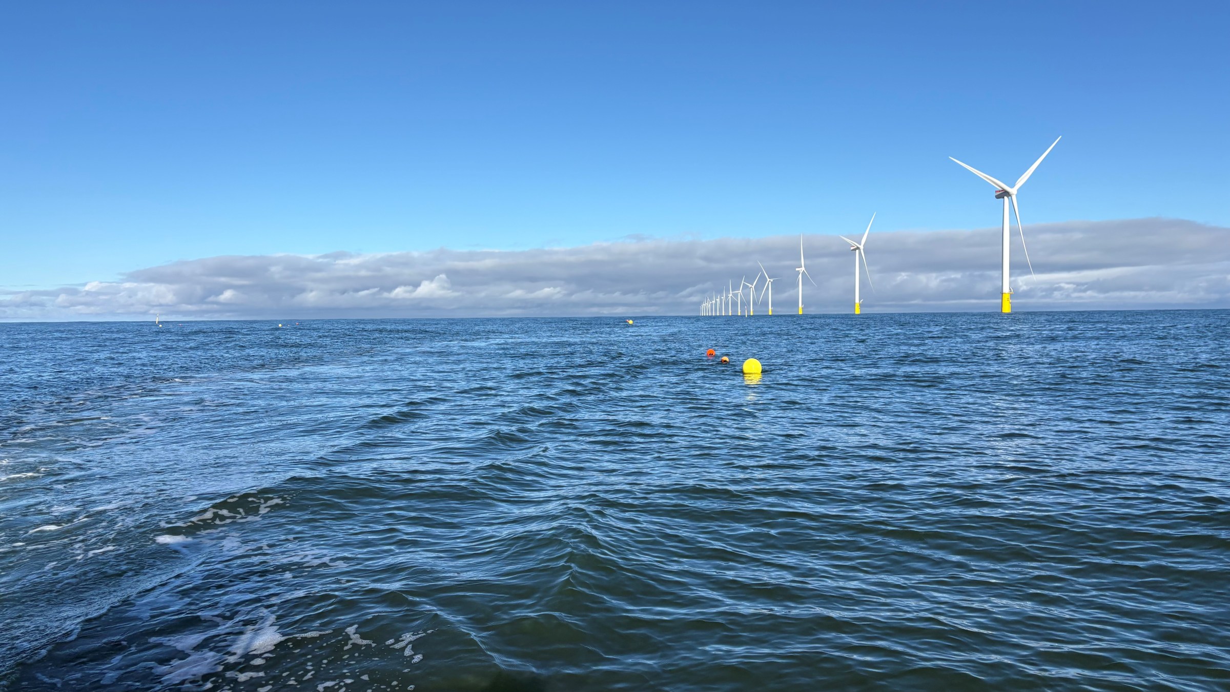 Sugarkelp in the North Sea – season 2